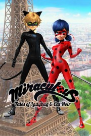 hd-Miraculous: Tales of Ladybug & Cat Noir
