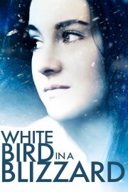 hd-White Bird in a Blizzard