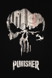 hd-Marvel's The Punisher