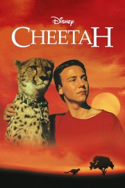 hd-Cheetah