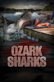 hd-Ozark Sharks