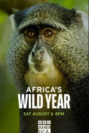 hd-Africa's Wild Year