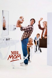 hd-Mr. Mom