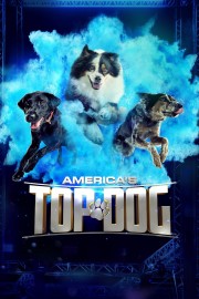 hd-America's Top Dog