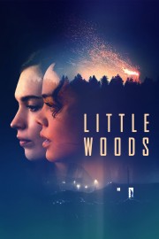 hd-Little Woods