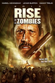 hd-Rise of the Zombies