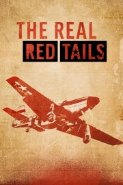 hd-The Real Red Tails