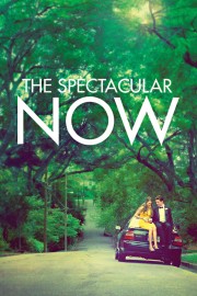 hd-The Spectacular Now