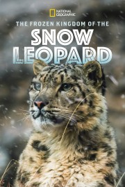 hd-The Frozen Kingdom of the Snow Leopard