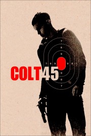 hd-Colt 45