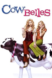 hd-Cow Belles