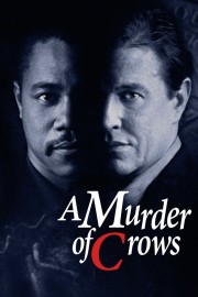 hd-A Murder of Crows