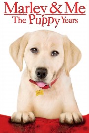 hd-Marley & Me: The Puppy Years