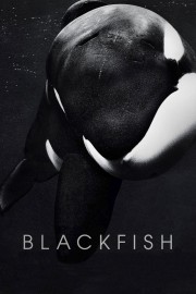 hd-Blackfish