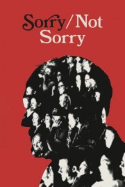 hd-Sorry/Not Sorry