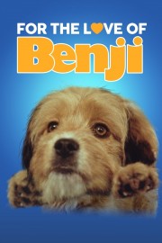 hd-For the Love of Benji