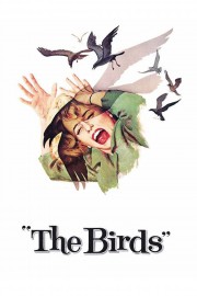 hd-The Birds