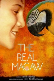 hd-The Real Macaw
