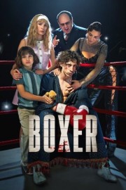 hd-Boxer