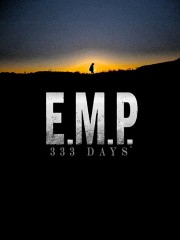 hd-E.M.P. 333 Days