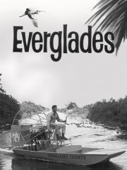 hd-Everglades