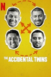 hd-The Accidental Twins