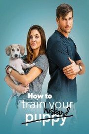 hd-How to Train Your Husband
