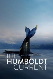 hd-The Humboldt Current