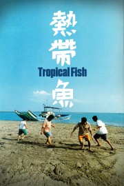 hd-Tropical Fish