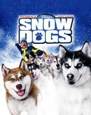 hd-Snow Dogs