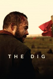 hd-The Dig