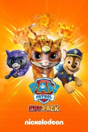 hd-Cat Pack: A PAW Patrol Exclusive Event