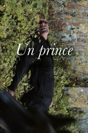 hd-A Prince