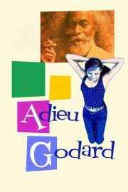 hd-Adieu Godard