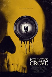 hd-Hollows Grove