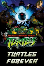 hd-Turtles Forever