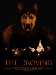 hd-The Droving