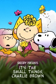 hd-Snoopy Presents: It’s the Small Things, Charlie Brown