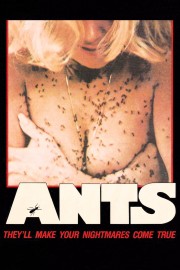 hd-Ants
