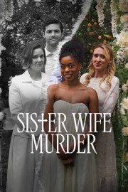 hd-Sister Wife Murder