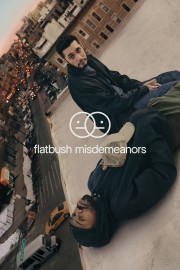 hd-Flatbush Misdemeanors