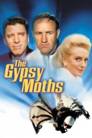 hd-The Gypsy Moths
