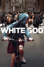hd-White God