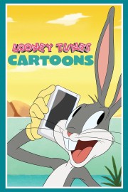 hd-Looney Tunes Cartoons