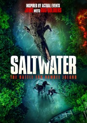 hd-Saltwater: The Battle for Ramree Island