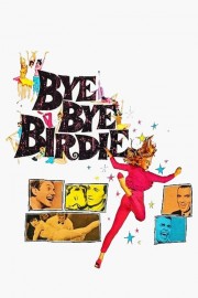 hd-Bye Bye Birdie