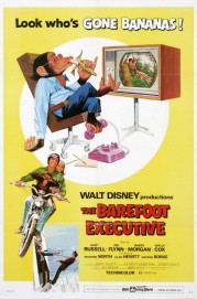 hd-The Barefoot Executive