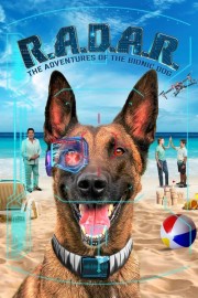 hd-R.A.D.A.R.: The Adventures of the Bionic Dog