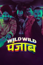 hd-Wild Wild Punjab