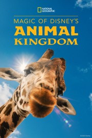 hd-Magic of Disney's Animal Kingdom